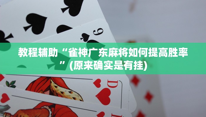教程辅助“雀神广东麻将如何提高胜率”(原来确实是有挂)