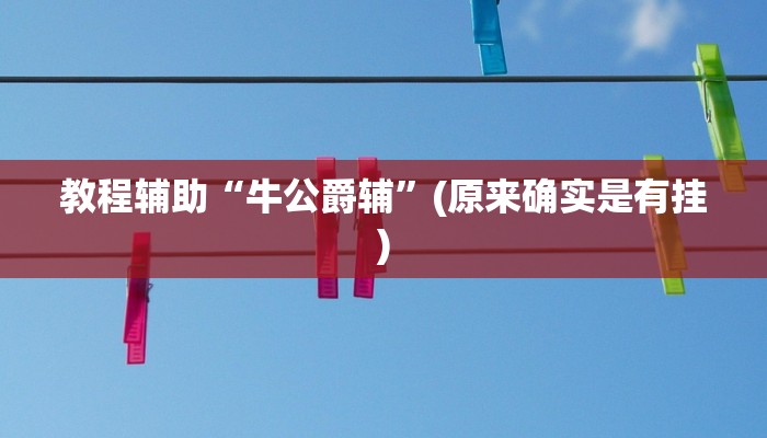 教程辅助“牛公爵辅”(原来确实是有挂)