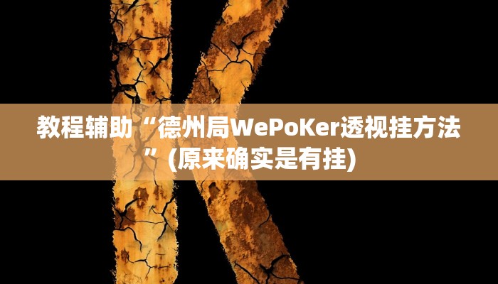 教程辅助“德州局WePoKer透视挂方法”(原来确实是有挂)