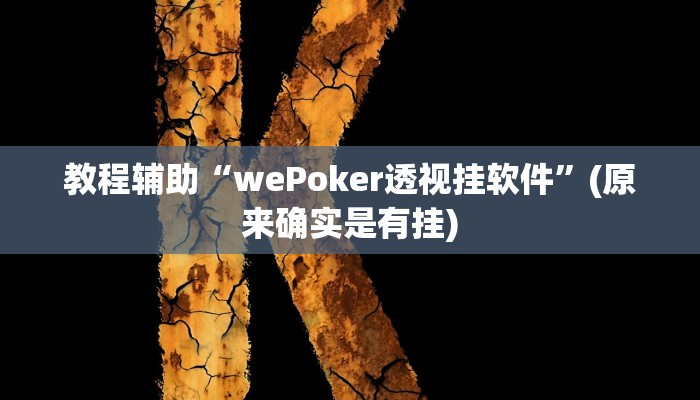 教程辅助“wePoker透视挂软件”(原来确实是有挂)