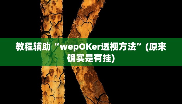 教程辅助“wepOKer透视方法”(原来确实是有挂)