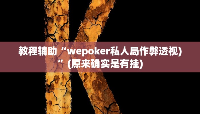 教程辅助“wepoker私人局作弊透视)”(原来确实是有挂)