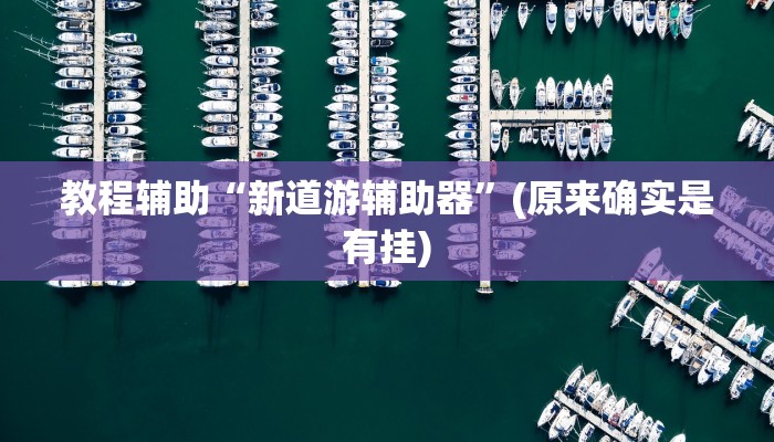 教程辅助“新道游辅助器”(原来确实是有挂)