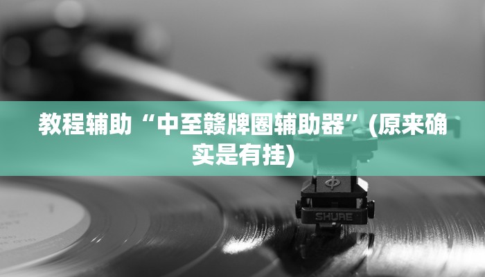 教程辅助“中至赣牌圈辅助器”(原来确实是有挂)