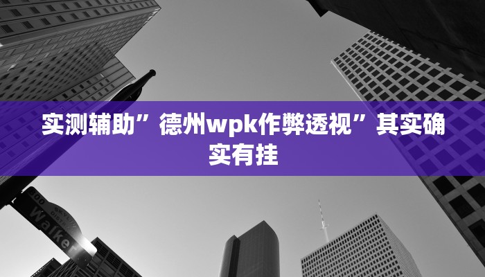 实测辅助”德州wpk作弊透视”其实确实有挂