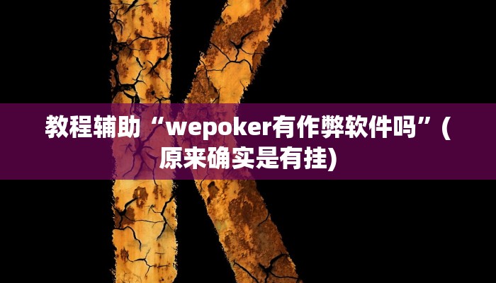 教程辅助“wepoker有作弊软件吗”(原来确实是有挂)
