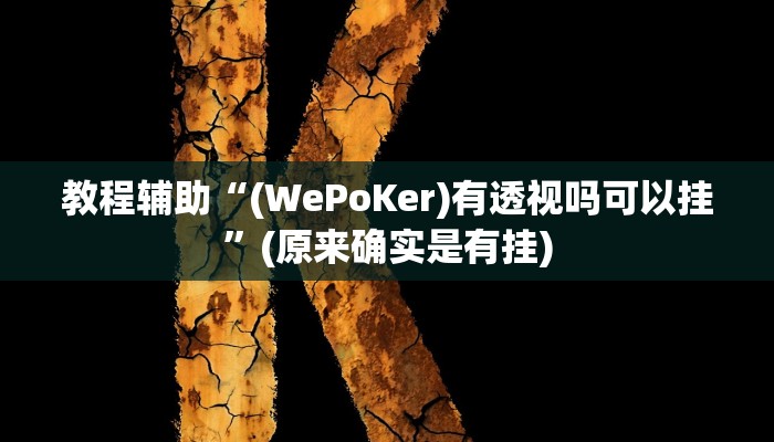 教程辅助“(WePoKer)有透视吗可以挂”(原来确实是有挂)
