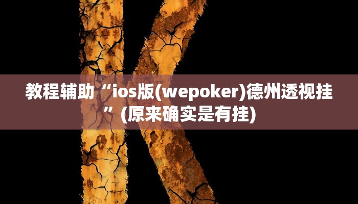 教程辅助“ios版(wepoker)德州透视挂”(原来确实是有挂)