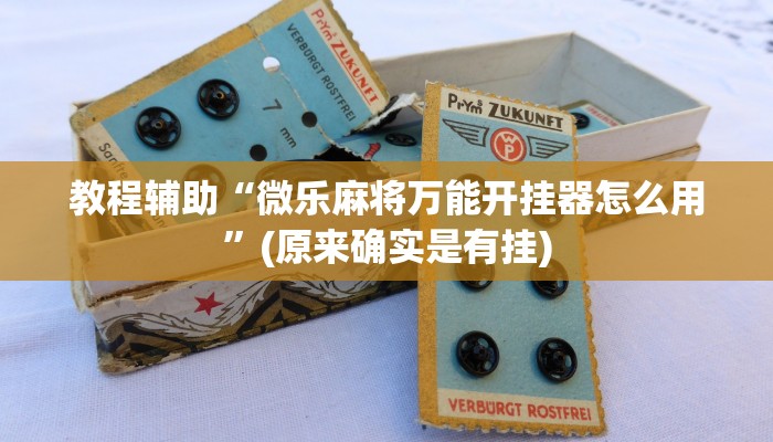 教程辅助“微乐麻将万能开挂器怎么用”(原来确实是有挂)