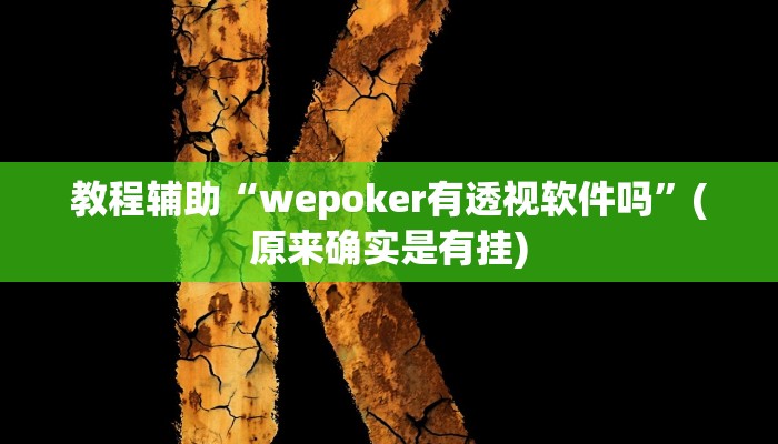 教程辅助“wepoker有透视软件吗”(原来确实是有挂)