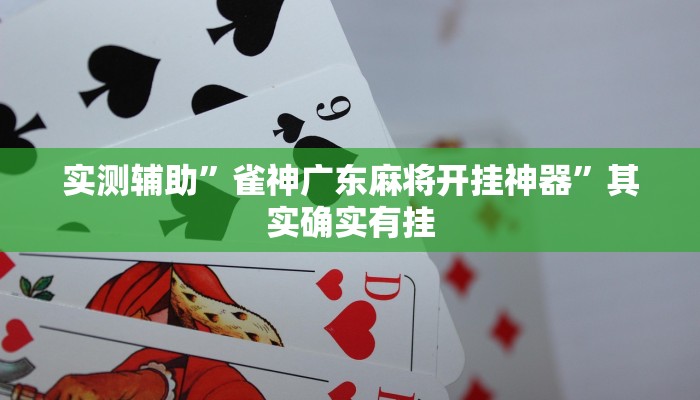 实测辅助”雀神广东麻将开挂神器”其实确实有挂