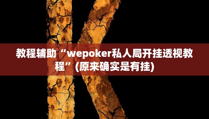 教程辅助“wepoker私人局开挂透视教程”(原来确实是有挂)