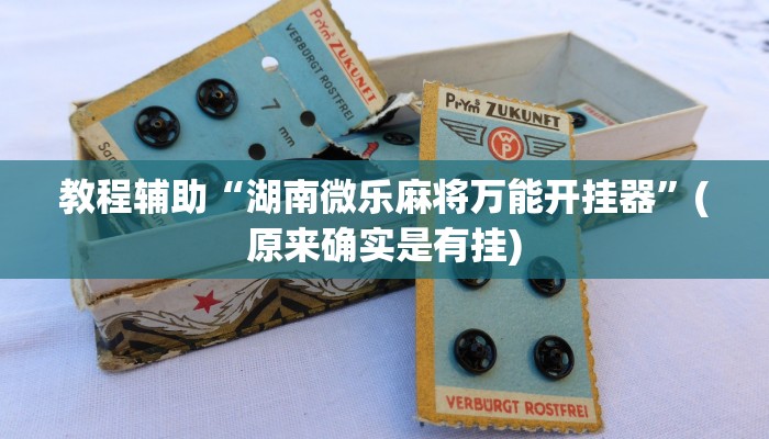 教程辅助“湖南微乐麻将万能开挂器”(原来确实是有挂)