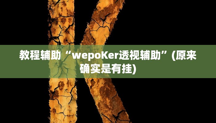 教程辅助“wepoKer透视辅助”(原来确实是有挂)