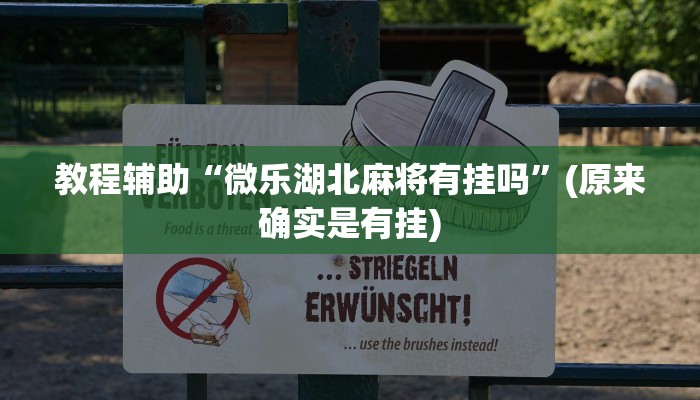 教程辅助“博雅红河棋牌通用挂”(原来确实是有挂)