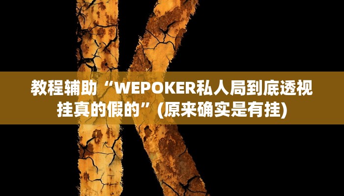 教程辅助“新永和大厅有挂吗”(原来确实是有挂)