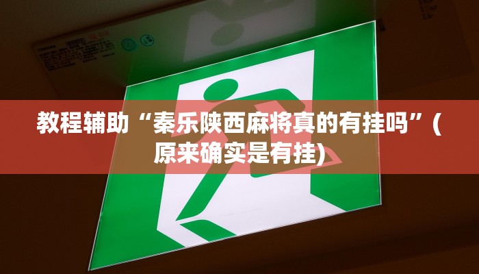 教程辅助“桂林字牌开挂辅助器”(原来确实是有挂)