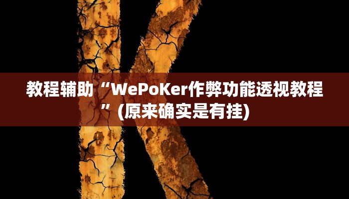 教程辅助“WePoKer作弊功能透视教程”(原来确实是有挂)