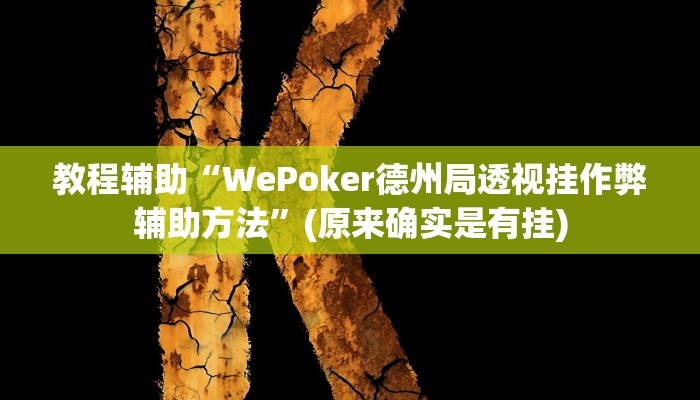 教程辅助“WePoker德州局透视挂作弊辅助方法”(原来确实是有挂)