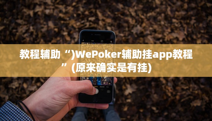 教程辅助“)WePoker辅助挂app教程”(原来确实是有挂)