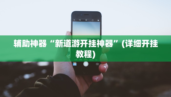 辅助神器“新道游开挂神器”(详细开挂教程)