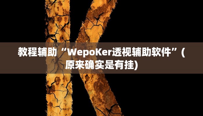 教程辅助“WepoKer透视辅助软件”(原来确实是有挂)