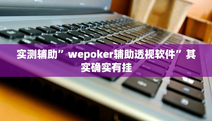 实测辅助”wepoker辅助透视软件”其实确实有挂