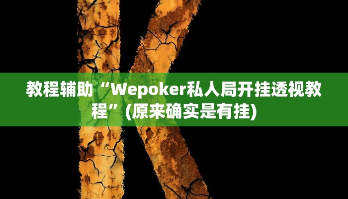 教程辅助“Wepoker私人局开挂透视教程”(原来确实是有挂)