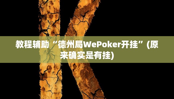教程辅助“德州局WePoker开挂”(原来确实是有挂)