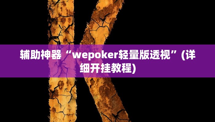 辅助神器“wepoker轻量版透视”(详细开挂教程)