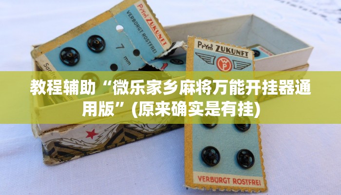 教程辅助“中至江西麻将开挂怎么买”(原来确实是有挂)