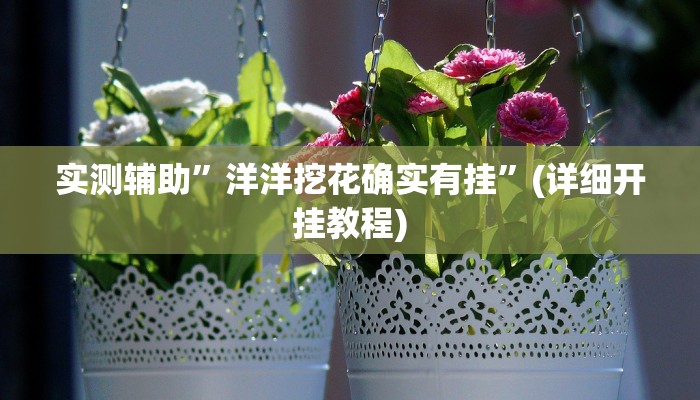 实测辅助”洋洋挖花确实有挂”(详细开挂教程)