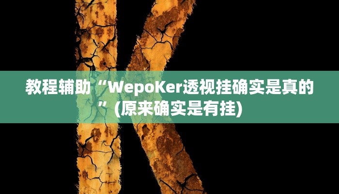 教程辅助“WepoKer透视挂确实是真的”(原来确实是有挂)