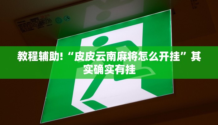 教程辅助!“皮皮云南麻将怎么开挂”其实确实有挂