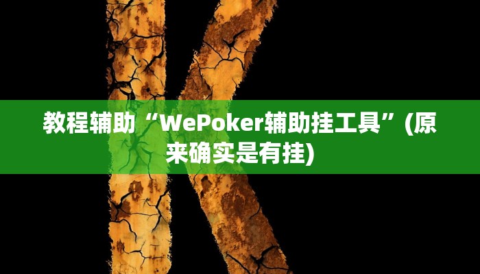 教程辅助“长城河北棋牌通用挂”(原来确实是有挂)