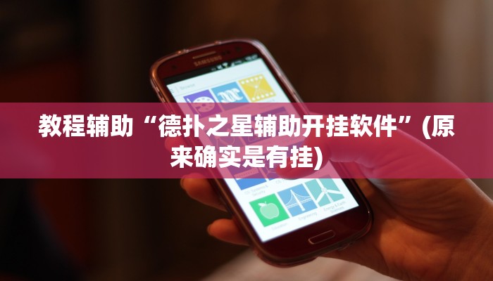 教程辅助“德扑之星辅助开挂软件”(原来确实是有挂)