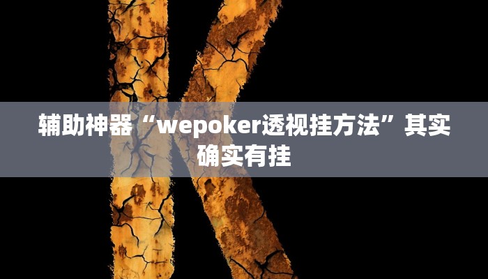 教程辅助“龙鼎拼十开挂教程”(原来确实是有挂)