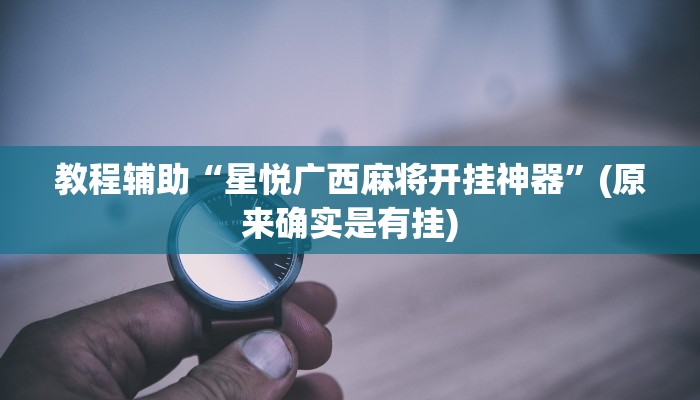 教程辅助“玄武大厅有挂吗”(原来确实是有挂)