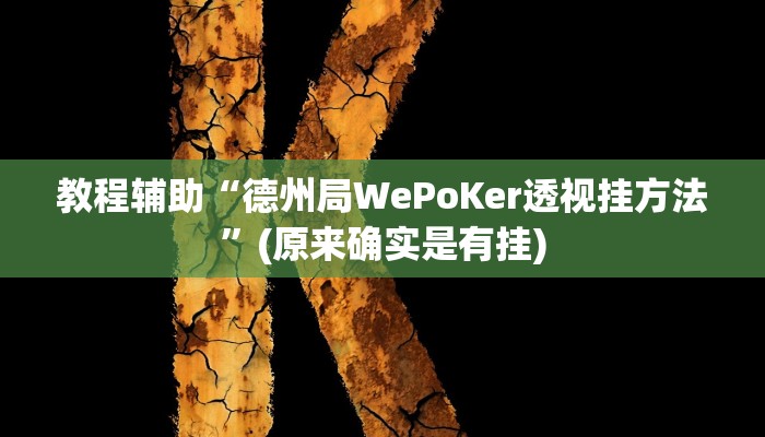 教程辅助“德州局WePoKer透视挂方法”(原来确实是有挂)