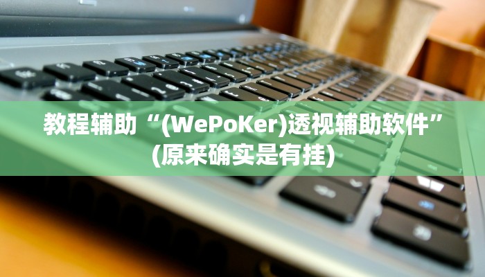 教程辅助“(WePoKer)透视辅助软件”(原来确实是有挂)