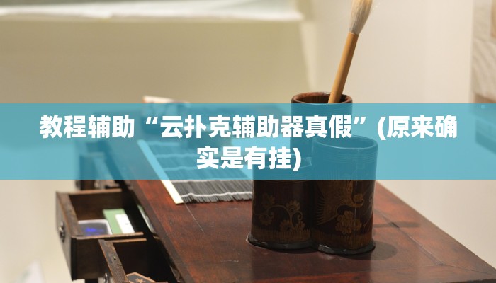 辅助神器“新版wepoker透视挂使用教程”其实确实有挂
