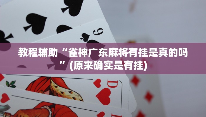 教程辅助“蜀山麻将开挂免费下载”(原来确实是有挂)