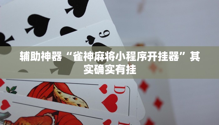 辅助神器“雀神麻将小程序开挂器”其实确实有挂