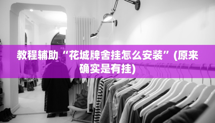 教程辅助“花城牌舍挂怎么安装”(原来确实是有挂)