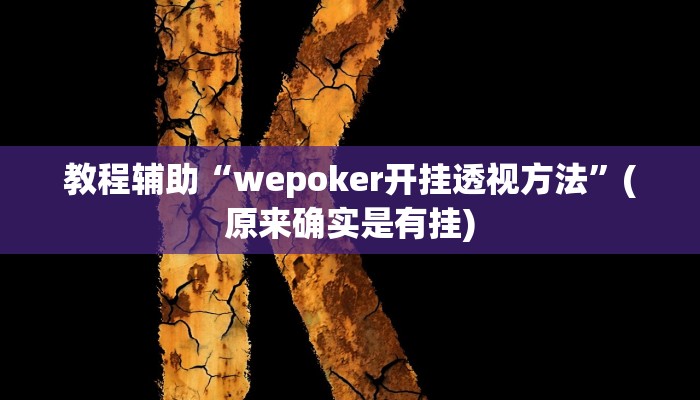 教程辅助“wepoker开挂透视方法”(原来确实是有挂)