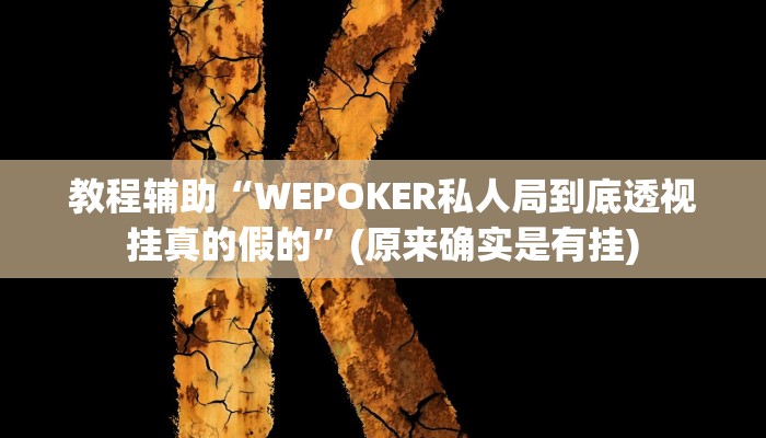 实测辅助”福州十八扑下载安装方法”(详细开挂教程)