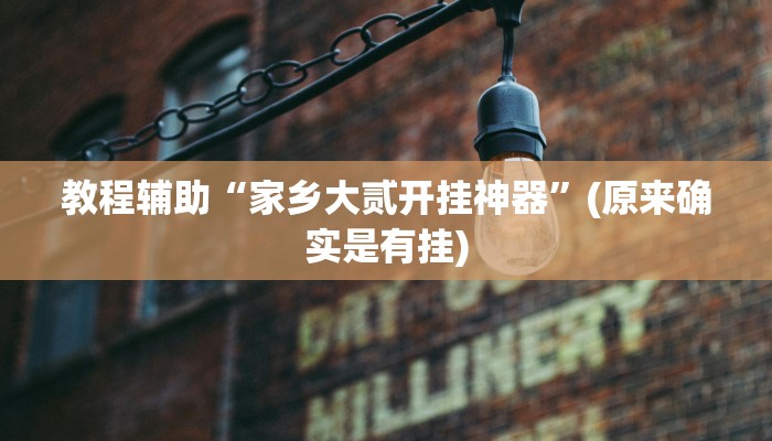 辅助神器“老友地方游戏怎么开挂”(详细开挂教程)