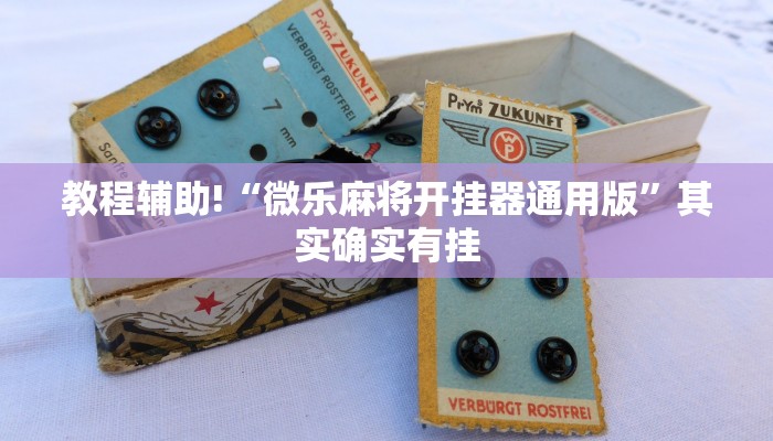 教程辅助“泸州跑得快开挂神器”(原来确实是有挂)