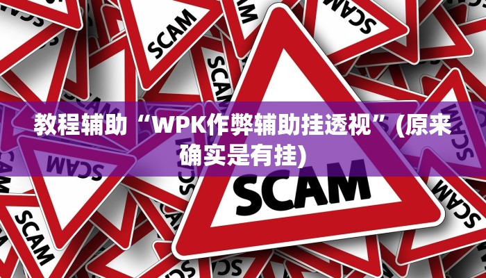 教程辅助“瓜瓜丰城棋牌助赢神器”(原来确实是有挂)