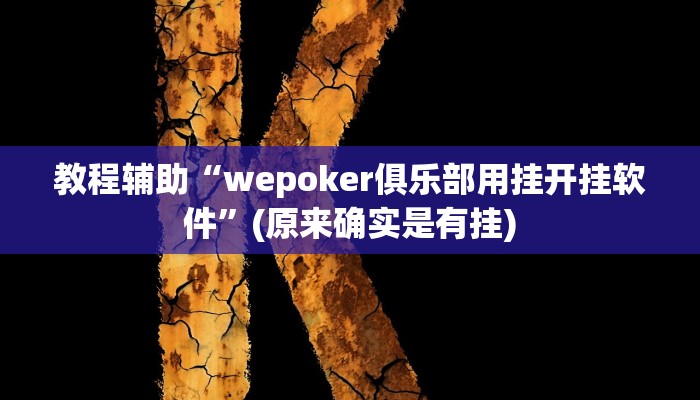 教程辅助“德扑之星作弊透视辅助”(原来确实是有挂)